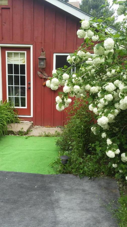 فندق Severnفي  Ethel Maud Place المظهر الخارجي الصورة