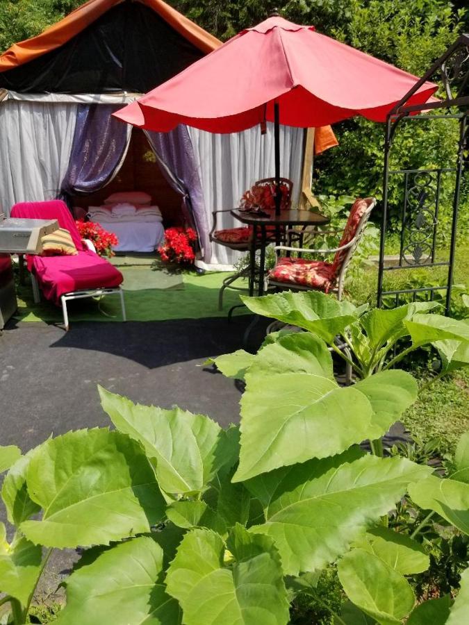 فندق Severnفي  Ethel Maud Place المظهر الخارجي الصورة